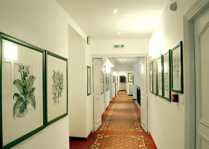 Grand Des Ambassadeurs מלון 4*
